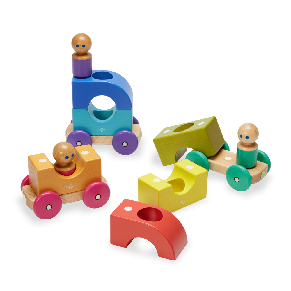 Magnetic Tegu Tram