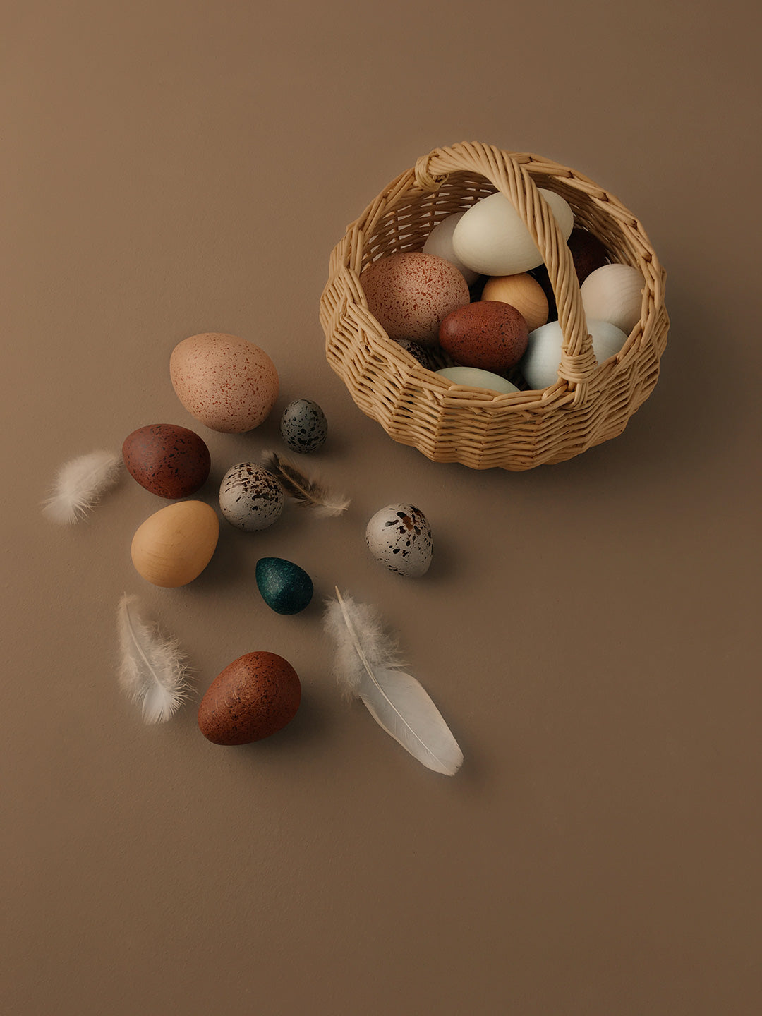 Dozen Bird Eggs