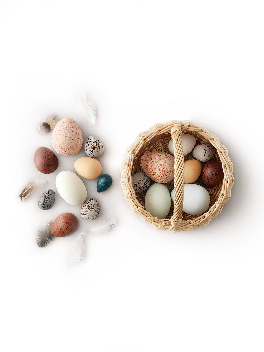 Dozen Bird Eggs