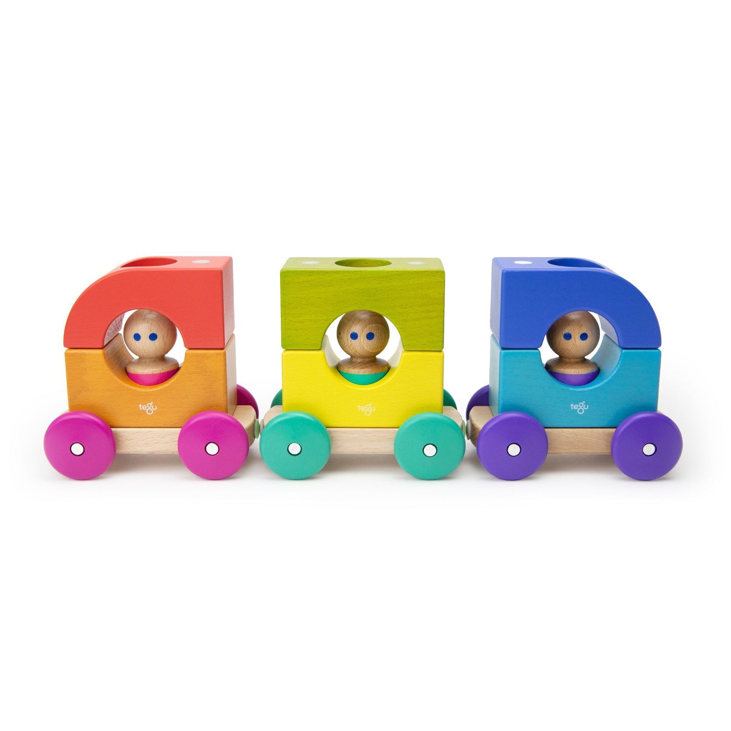Magnetic Tegu Tram