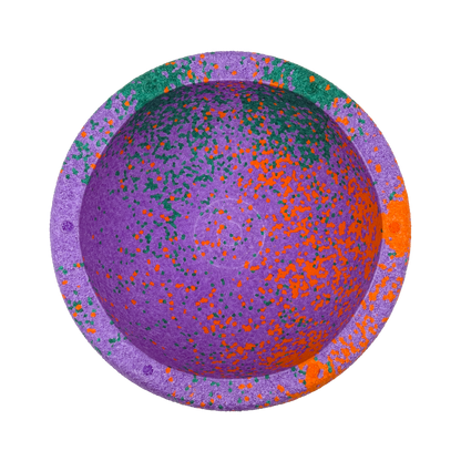 Original - Special Edition