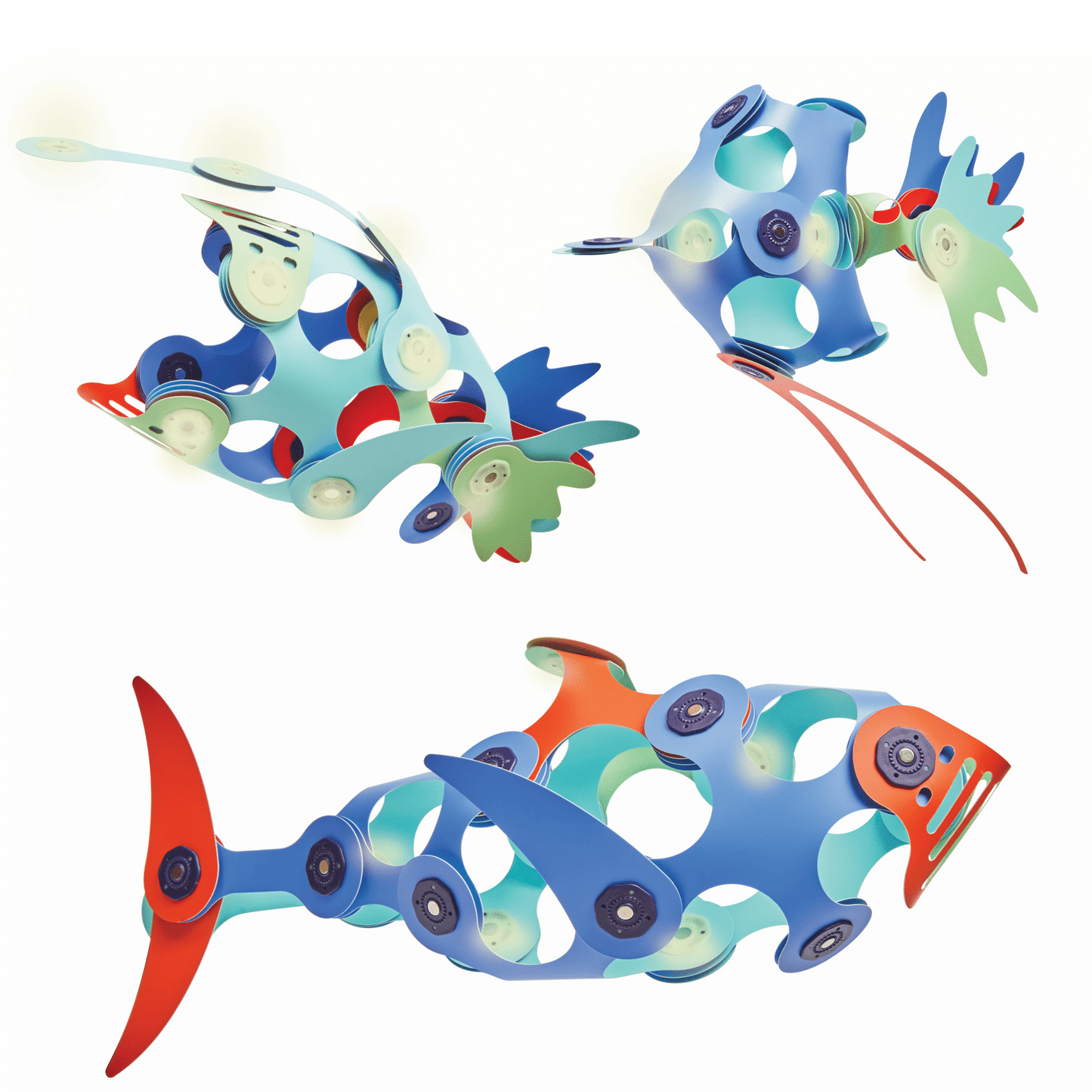 Ocean Creatures