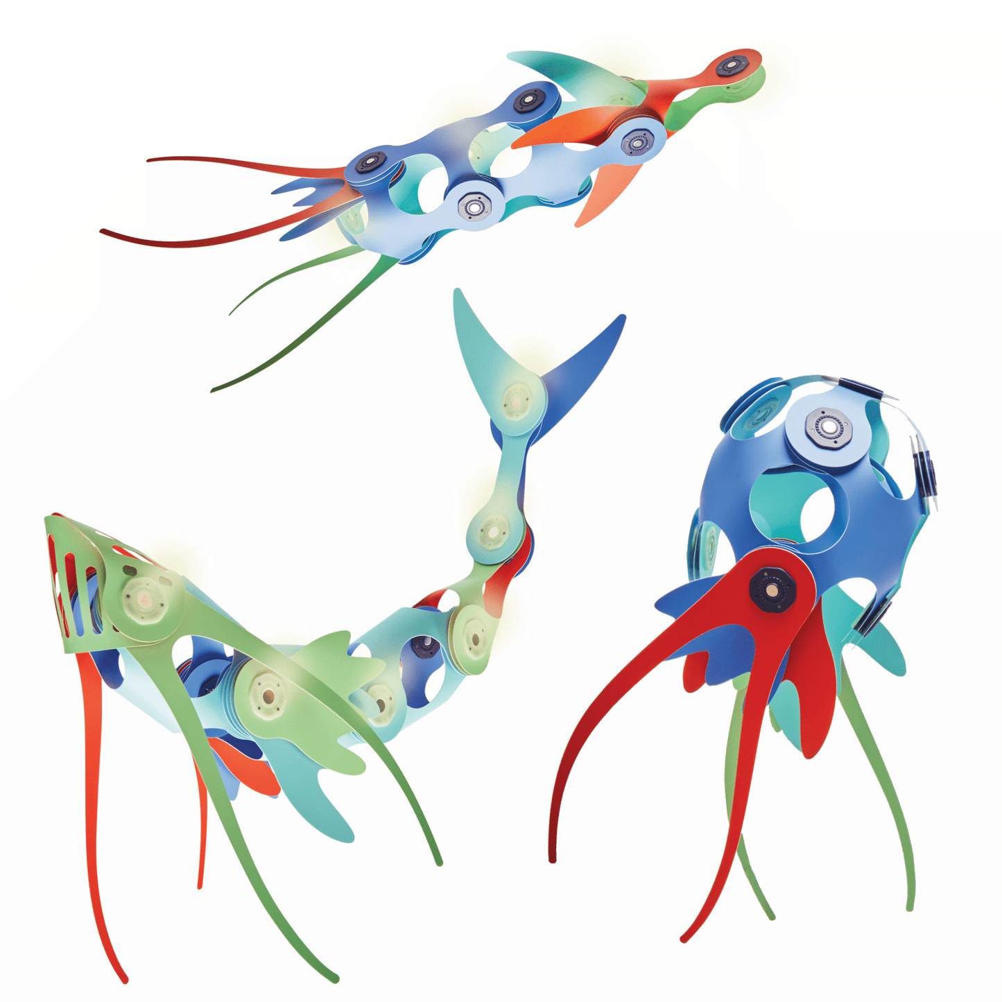 Ocean Creatures