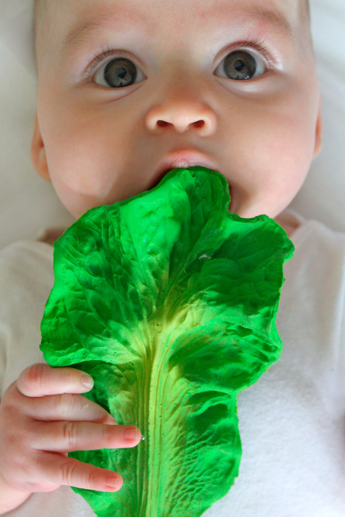 Veggies - Teethers