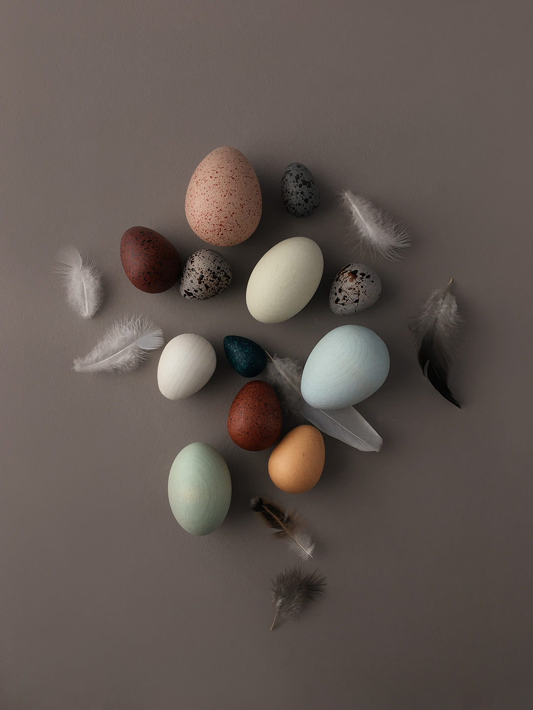 Dozen Bird Eggs