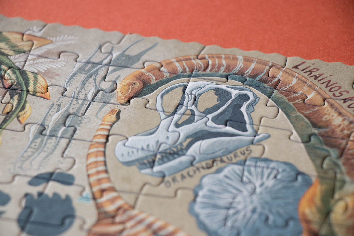 Dinos Explorer- Puzzle 350 piezas