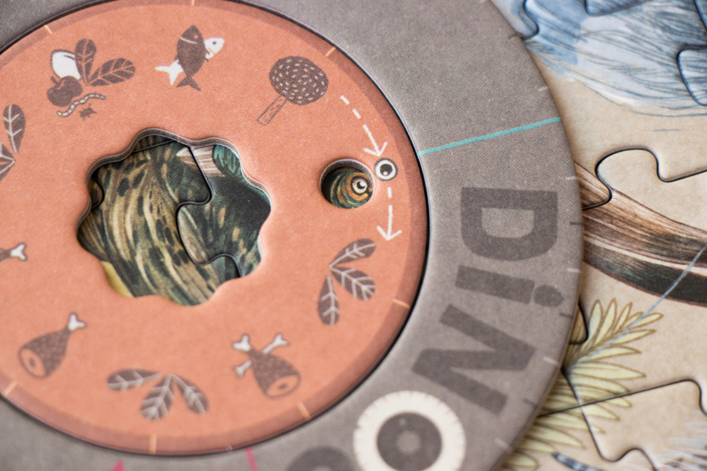 Dinos Explorer- Puzzle 350 piezas