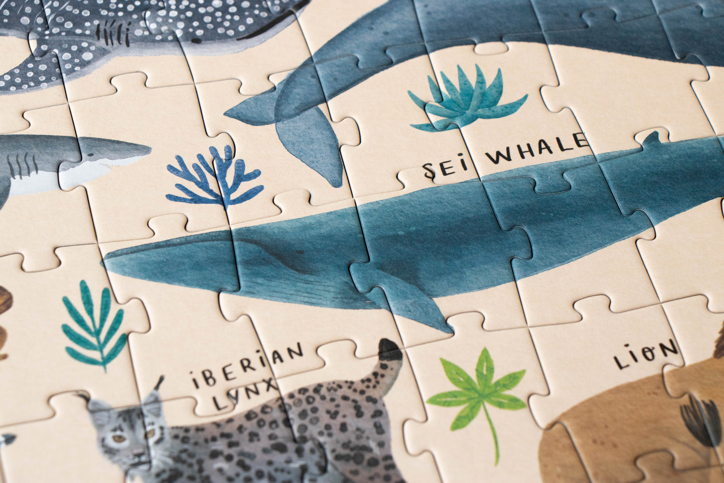 Life- Puzzle 200 piezas