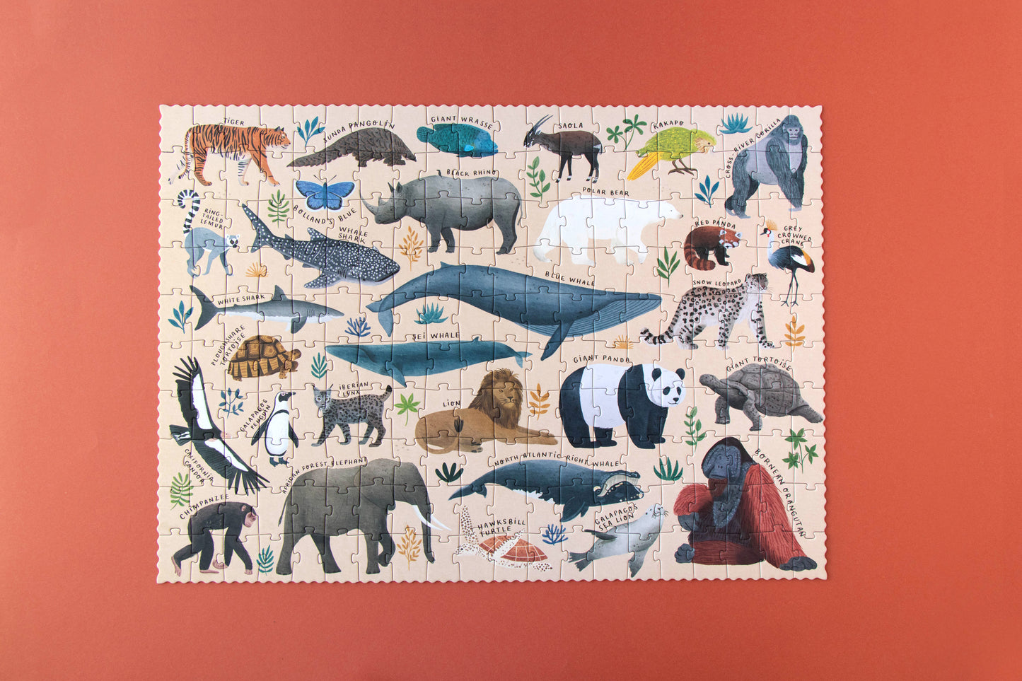 Life- Puzzle 200 piezas