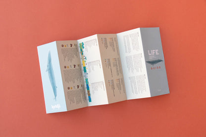 Life- Puzzle 200 piezas
