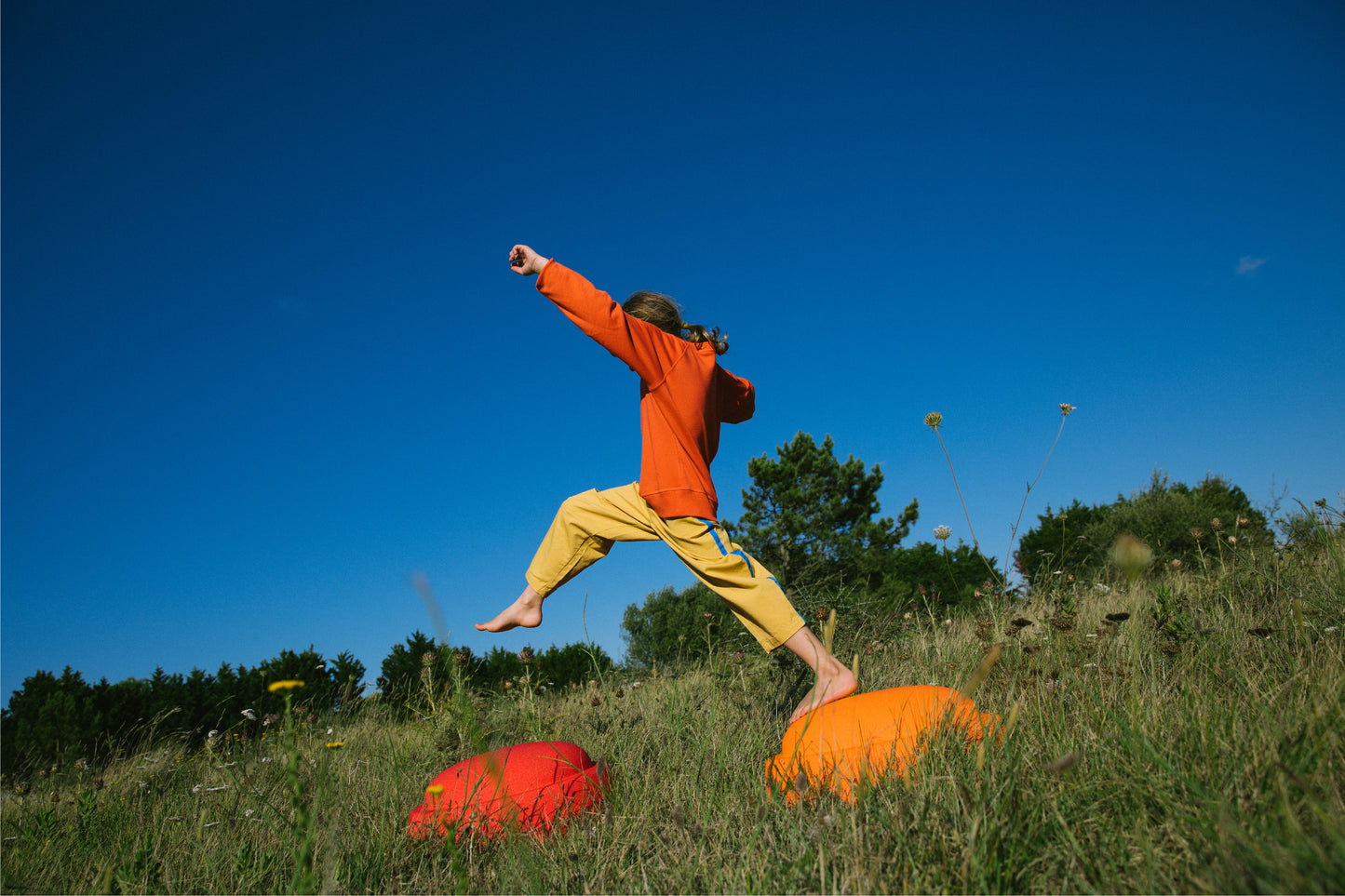 Original Grow Rainbow