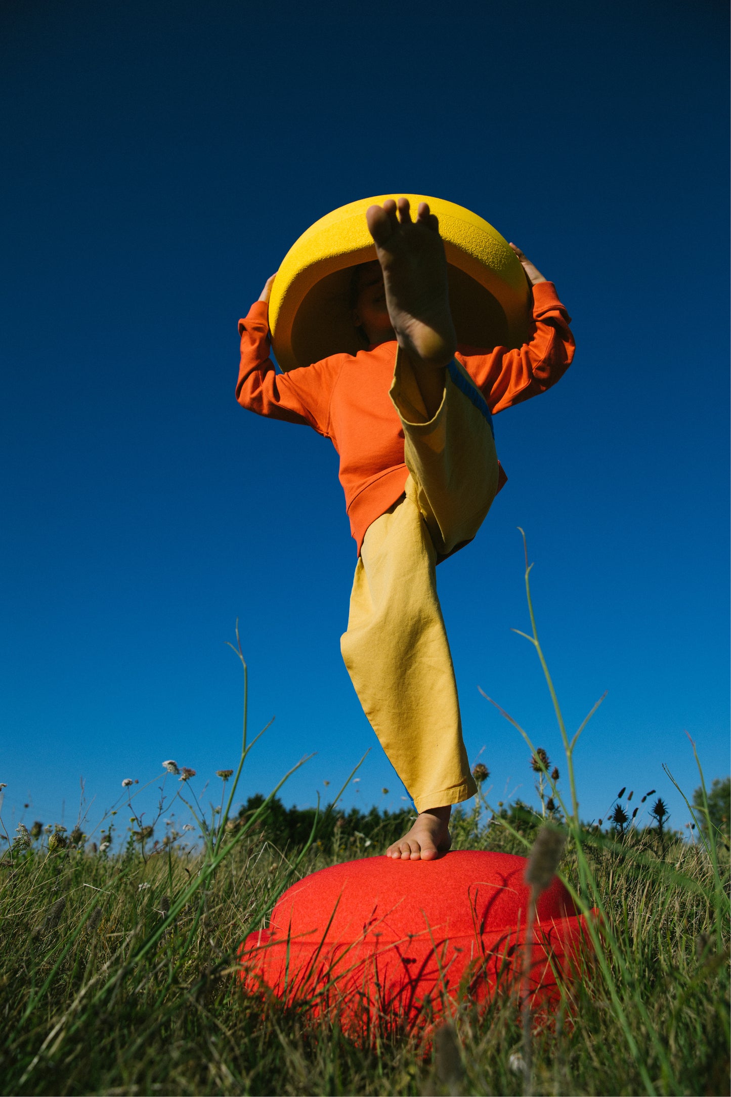 Original Grow Rainbow