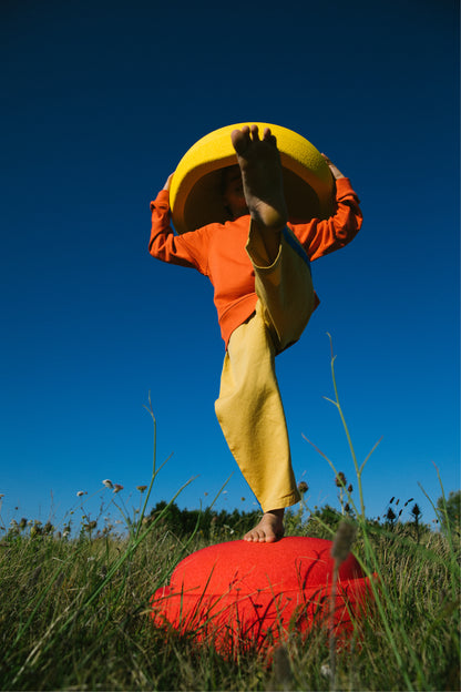 Original Grow Rainbow