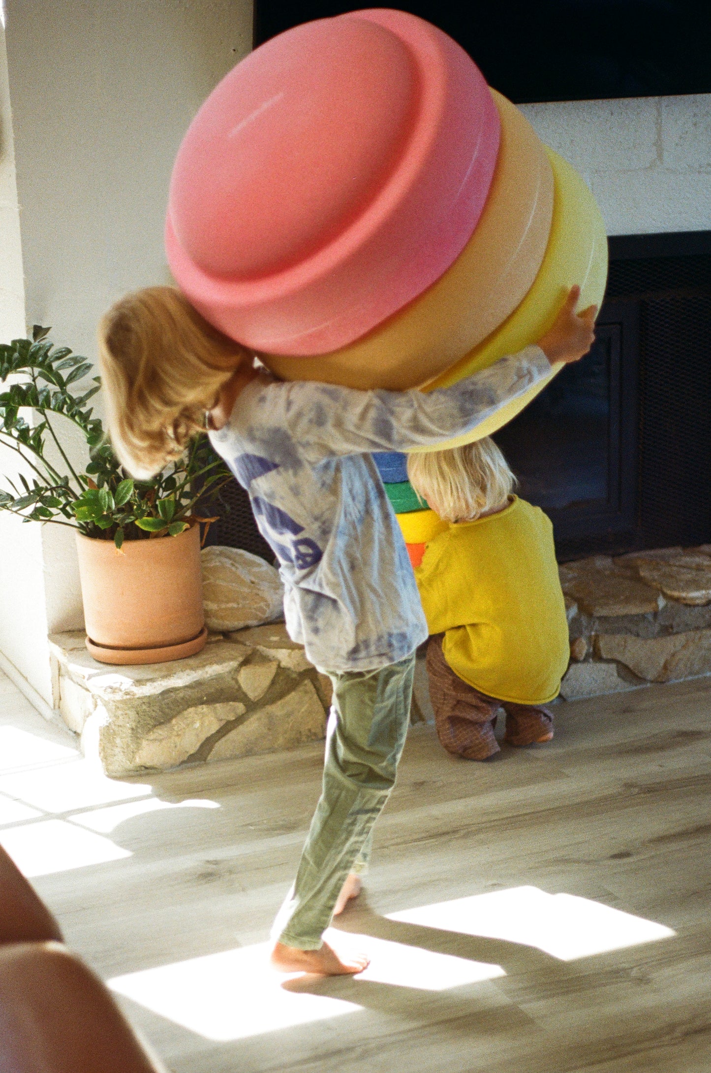 Original Grow Rainbow