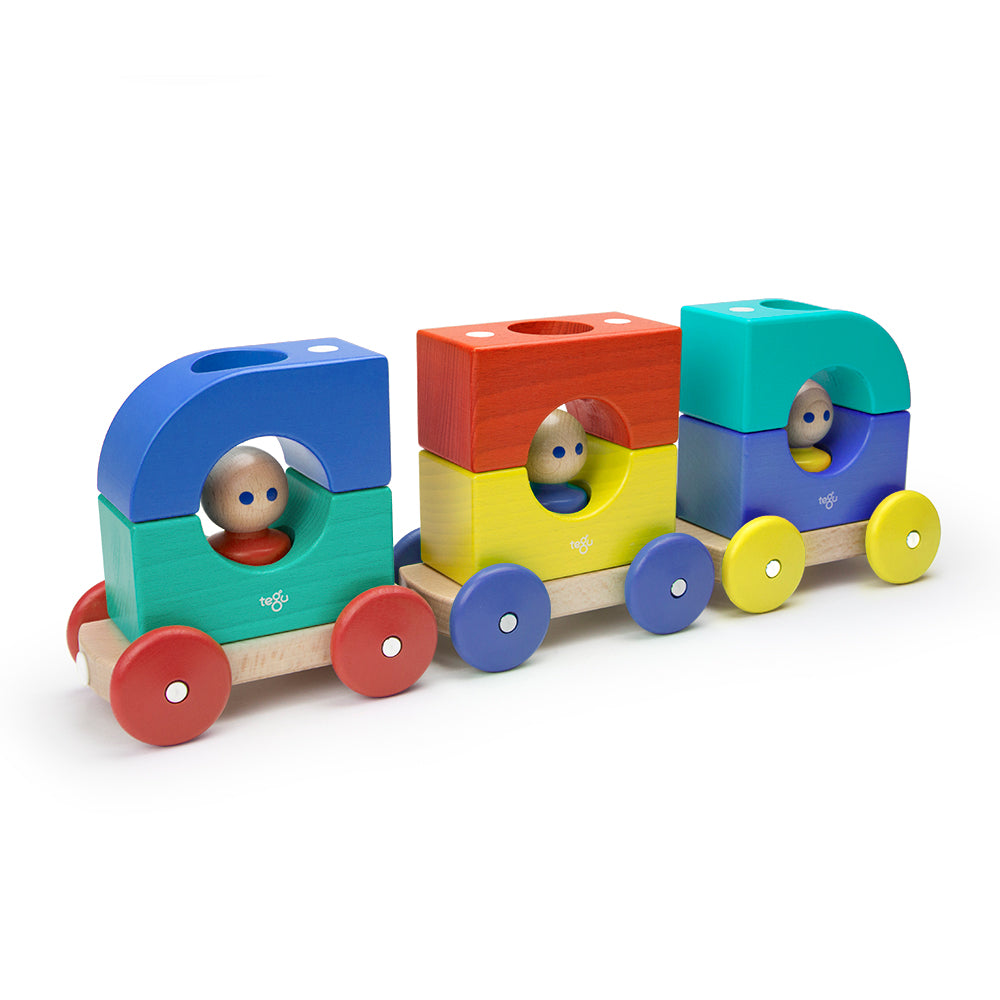 Magnetic Tegu Tram