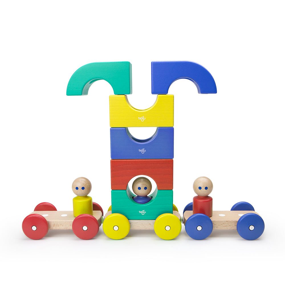 Magnetic Tegu Tram
