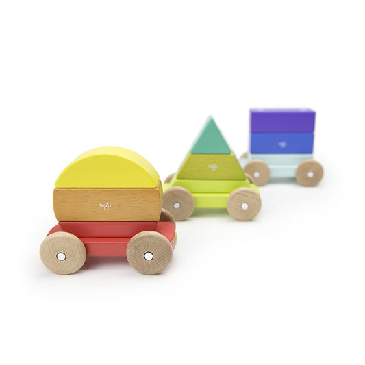 Magnetic Shape Train