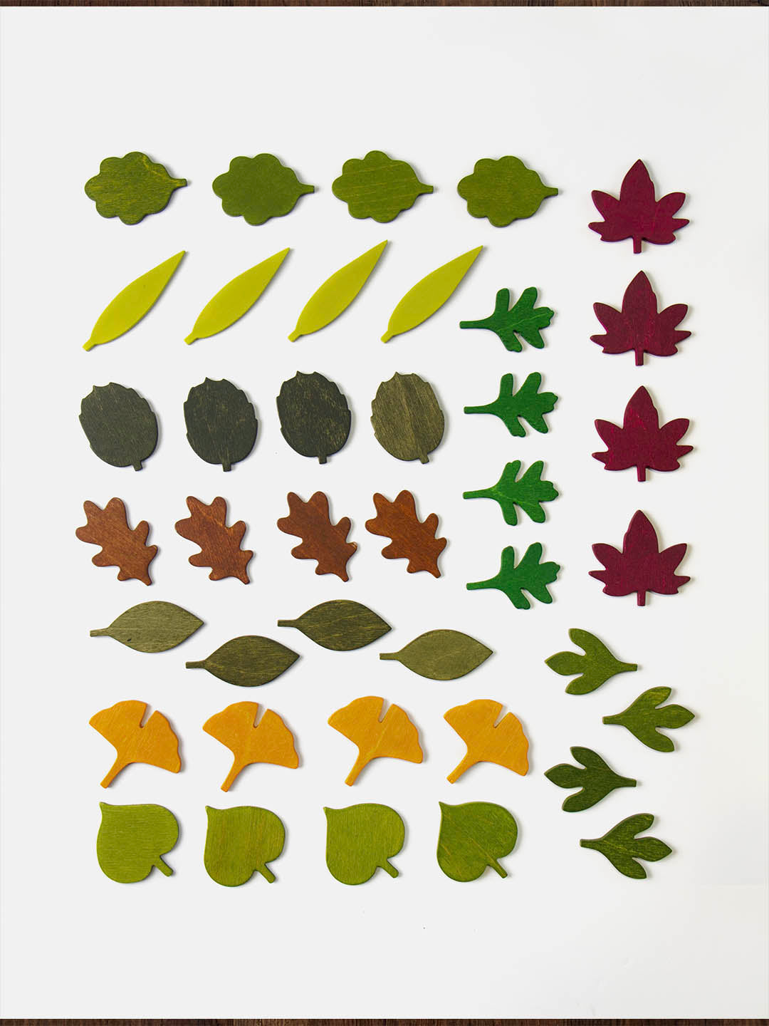 Woodland leaves