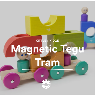 Magnetic Tegu Tram