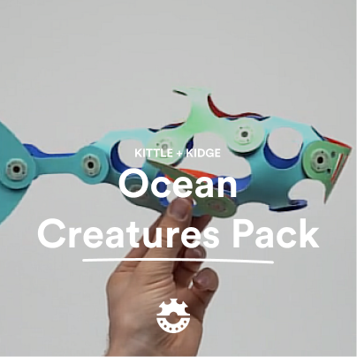 Ocean Creatures