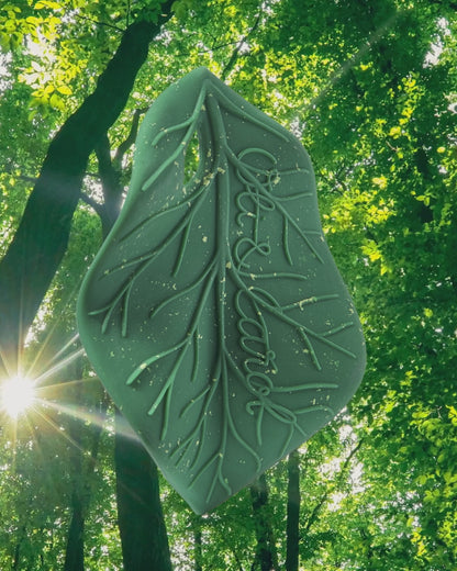 Chlorophyll Leaf